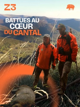Battues au coeur du Cantal