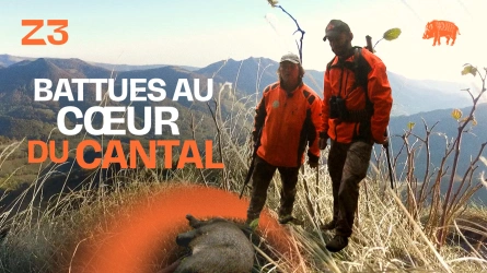 Battues au coeur du Cantal