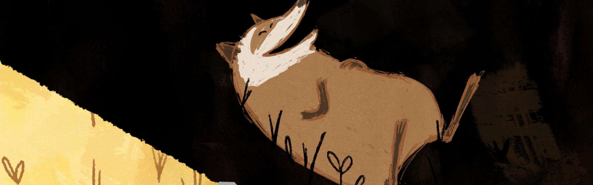 Le raton laveur et la lampe de poche