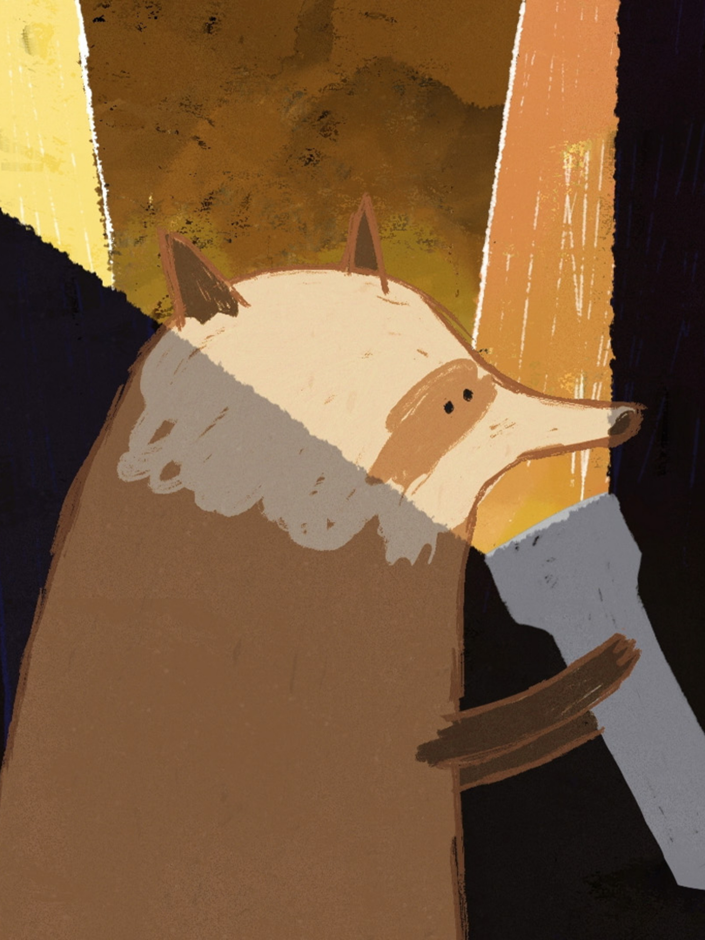 Le raton laveur et la lampe de poche