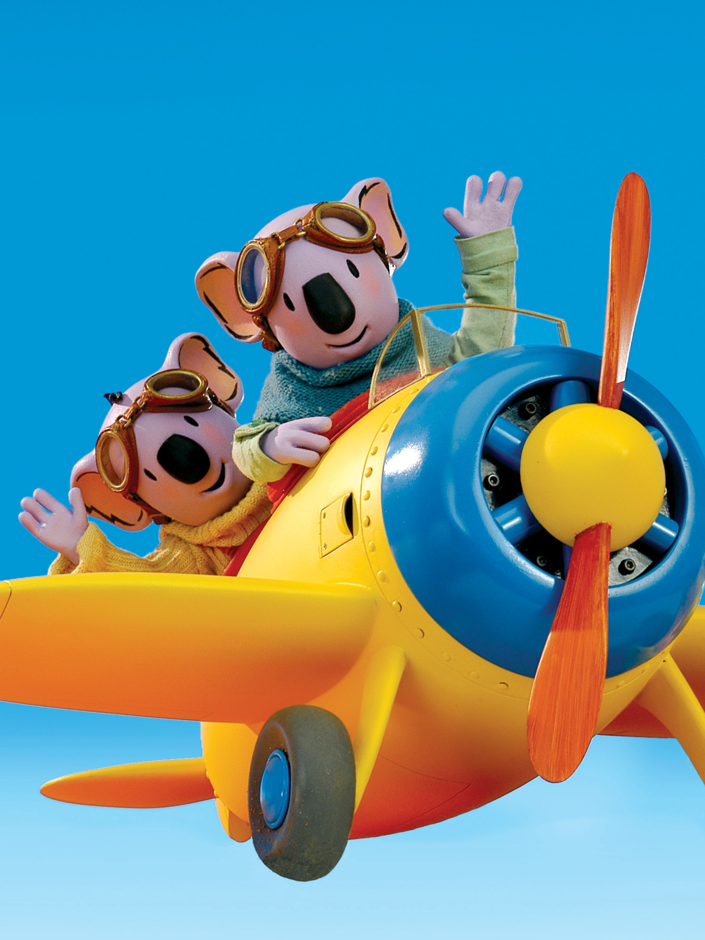 Les Frères Koalas : la série