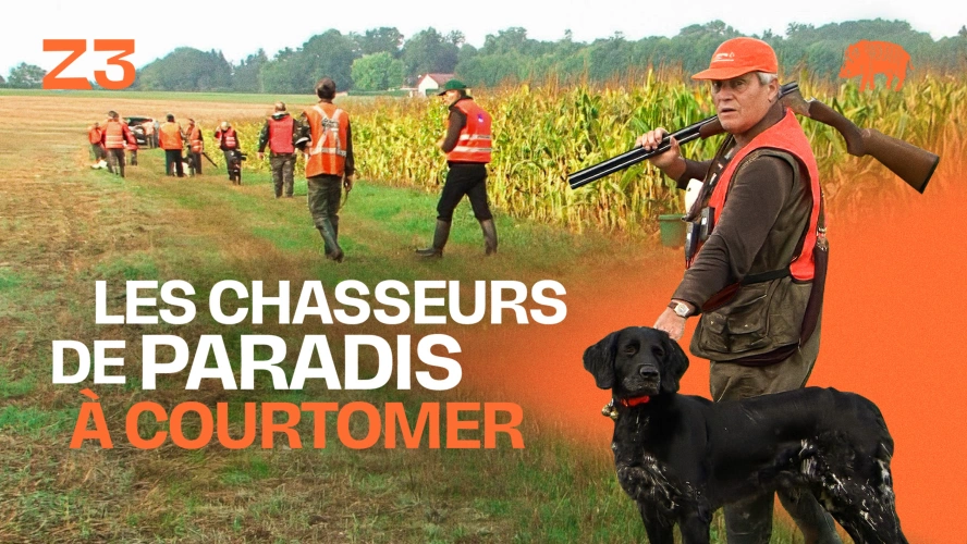 Les chasseurs de paradis à Courtomer