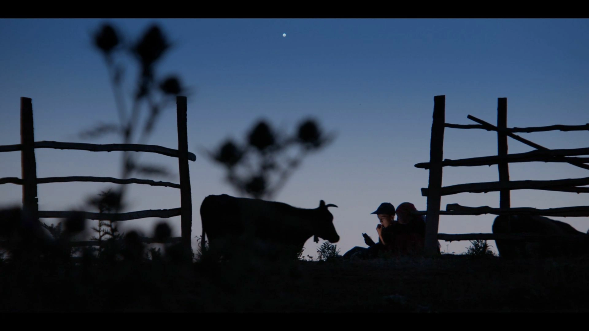 Mes grandes vacances