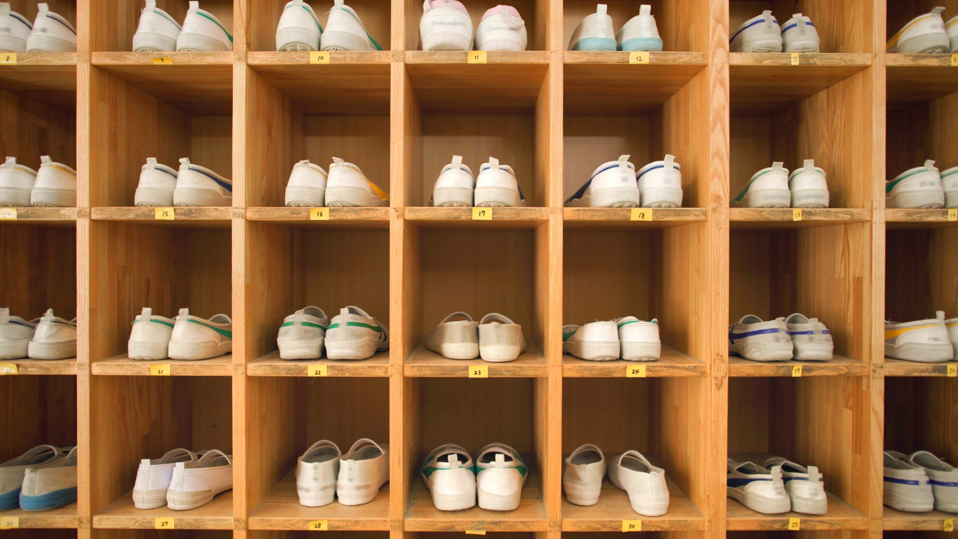 Instruments of a beating heart