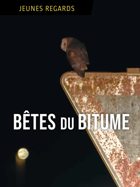 Bête du bitume