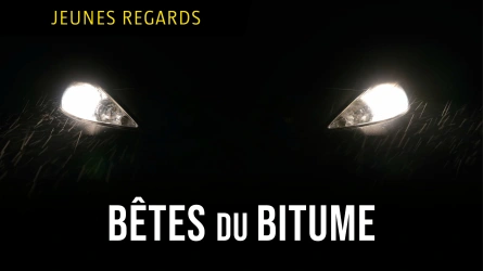 Bête du bitume