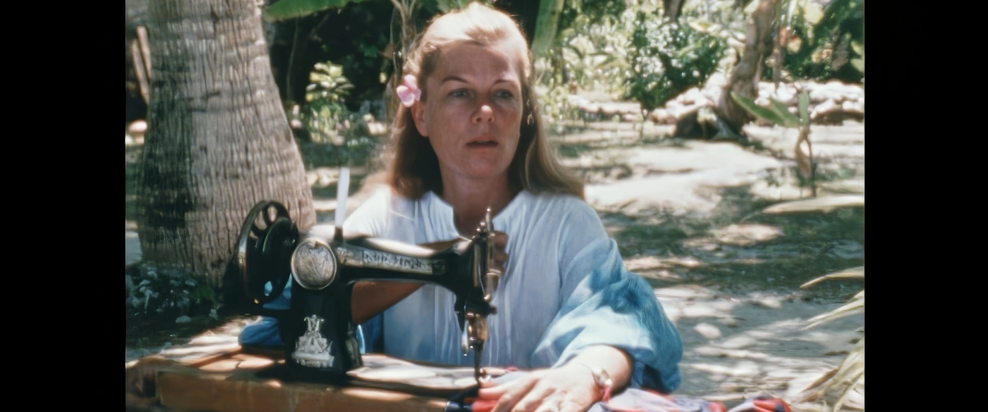 L'île de Paul-Emile Victor