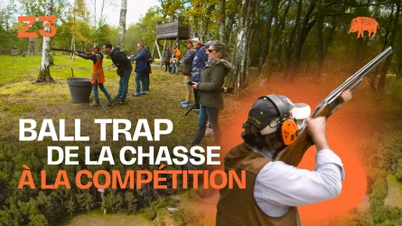 Ball trap de la chasse à la compétition