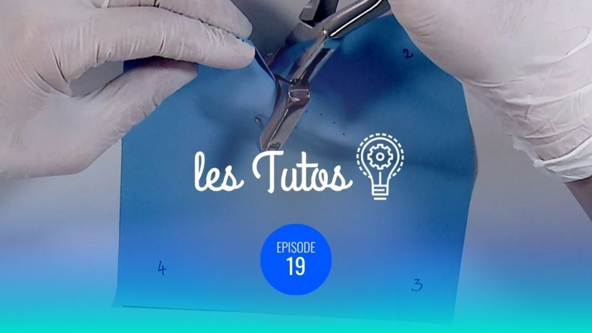 LA DIGUE sous tous ses angles