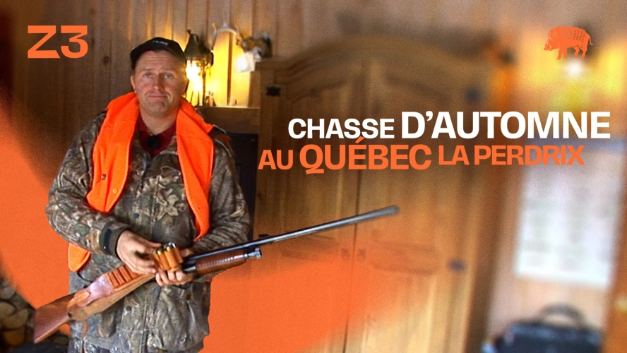 Chasse d'automne au Québec : la perdrix