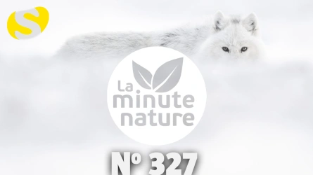 Avec Vincent Munier