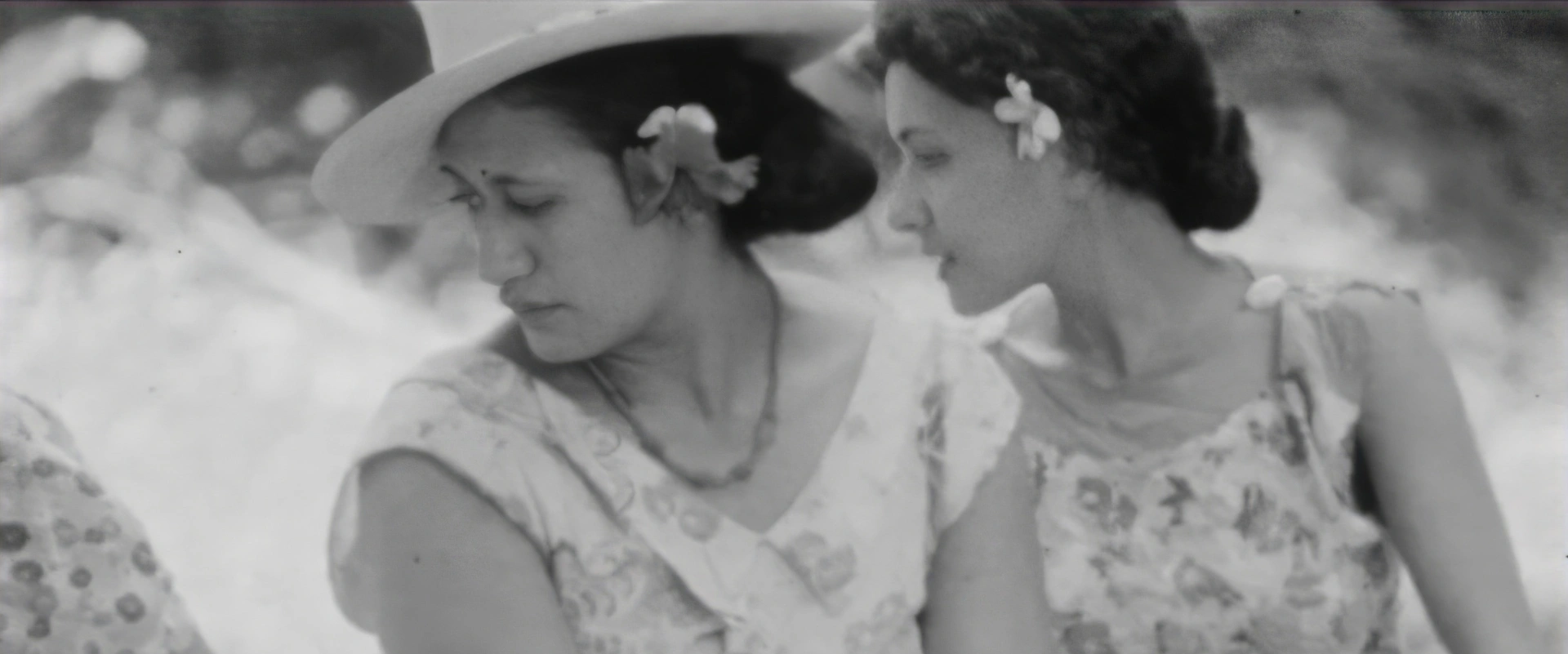 Films de Douglas Campbell - Tiurai 1937 - Grand 'ahima'a - Vallée de la Fautaua