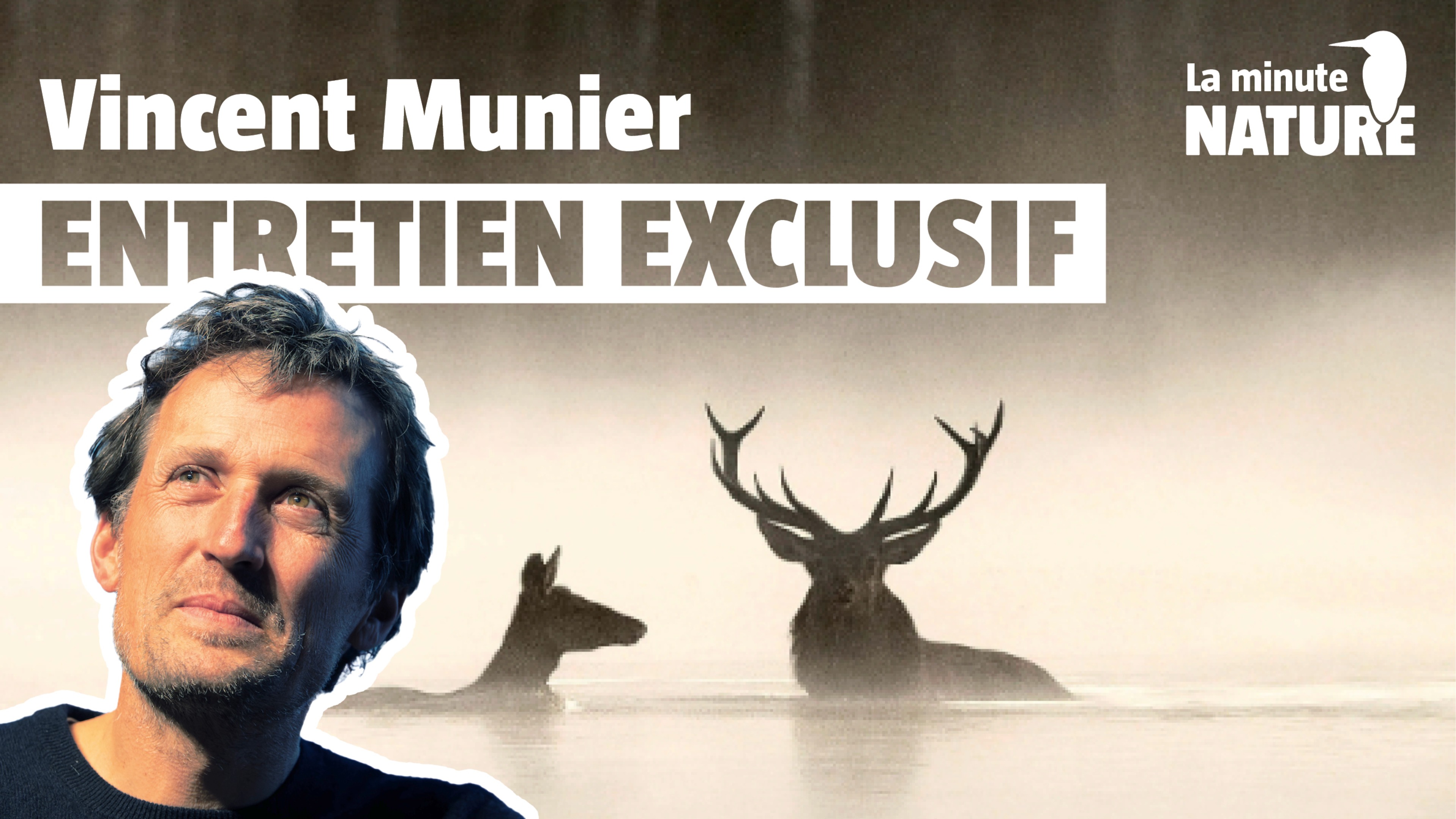 Vincent Munier raconte le chant des forêts
