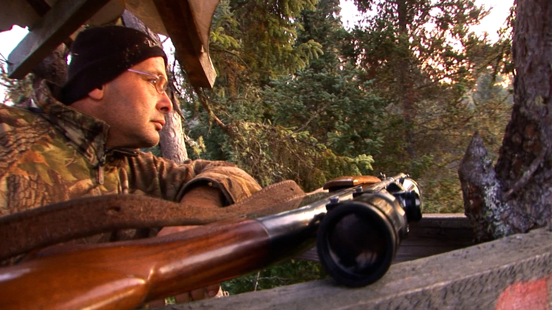 La saison de l'orignal