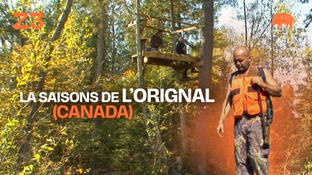 La saison de l'orignal