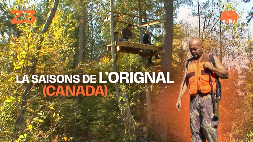 La saison de l'orignal