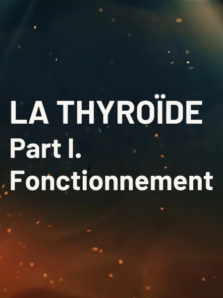 Masterclass Thyroïde – Partie 1 : Fonctionnement