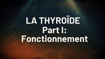 Masterclass Thyroïde – Partie 1 : Fonctionnement