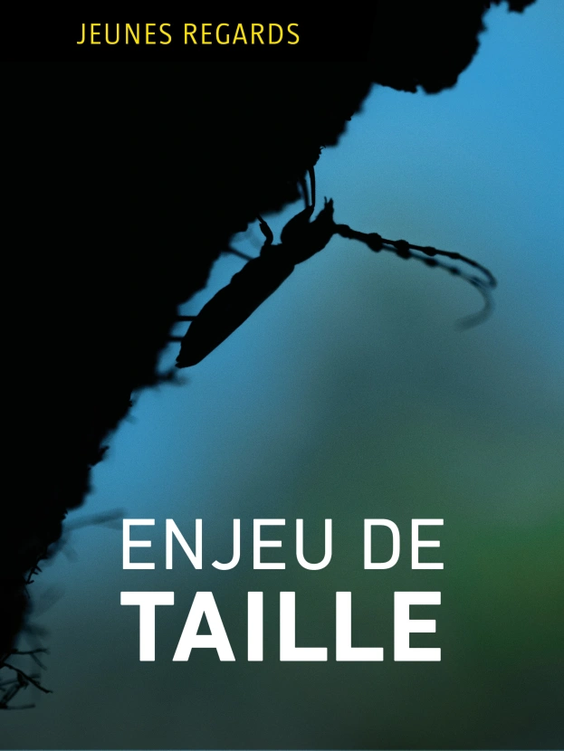 Enjeu de taille