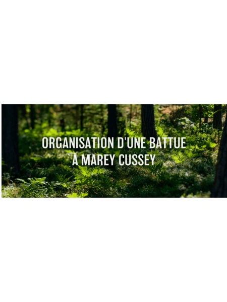 Organisation d'une battue à Marey Cussey