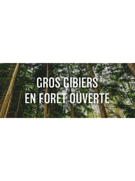 Gros gibiers en forêt ouverte