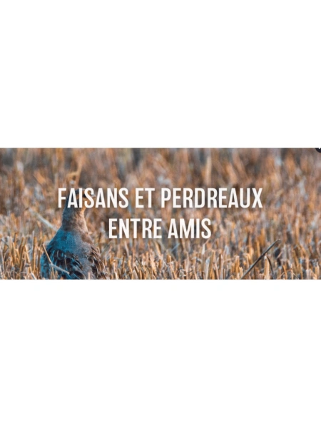 Faisans et perdreaux entre amis