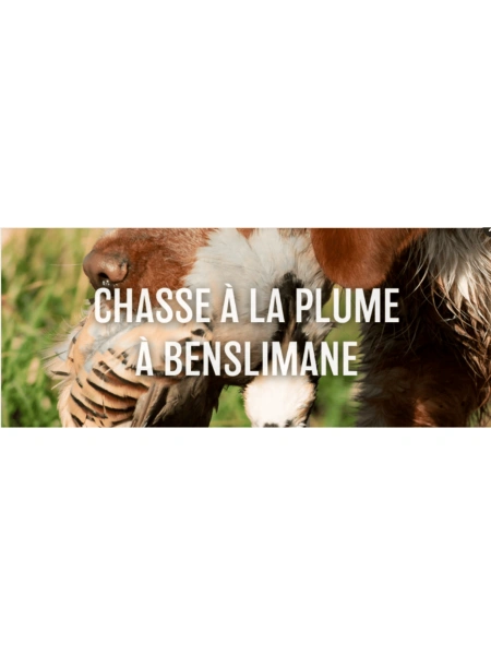 Chasse à la plume à Benslimane