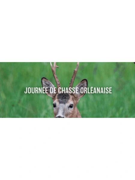 Journée de chasse Orléanaise