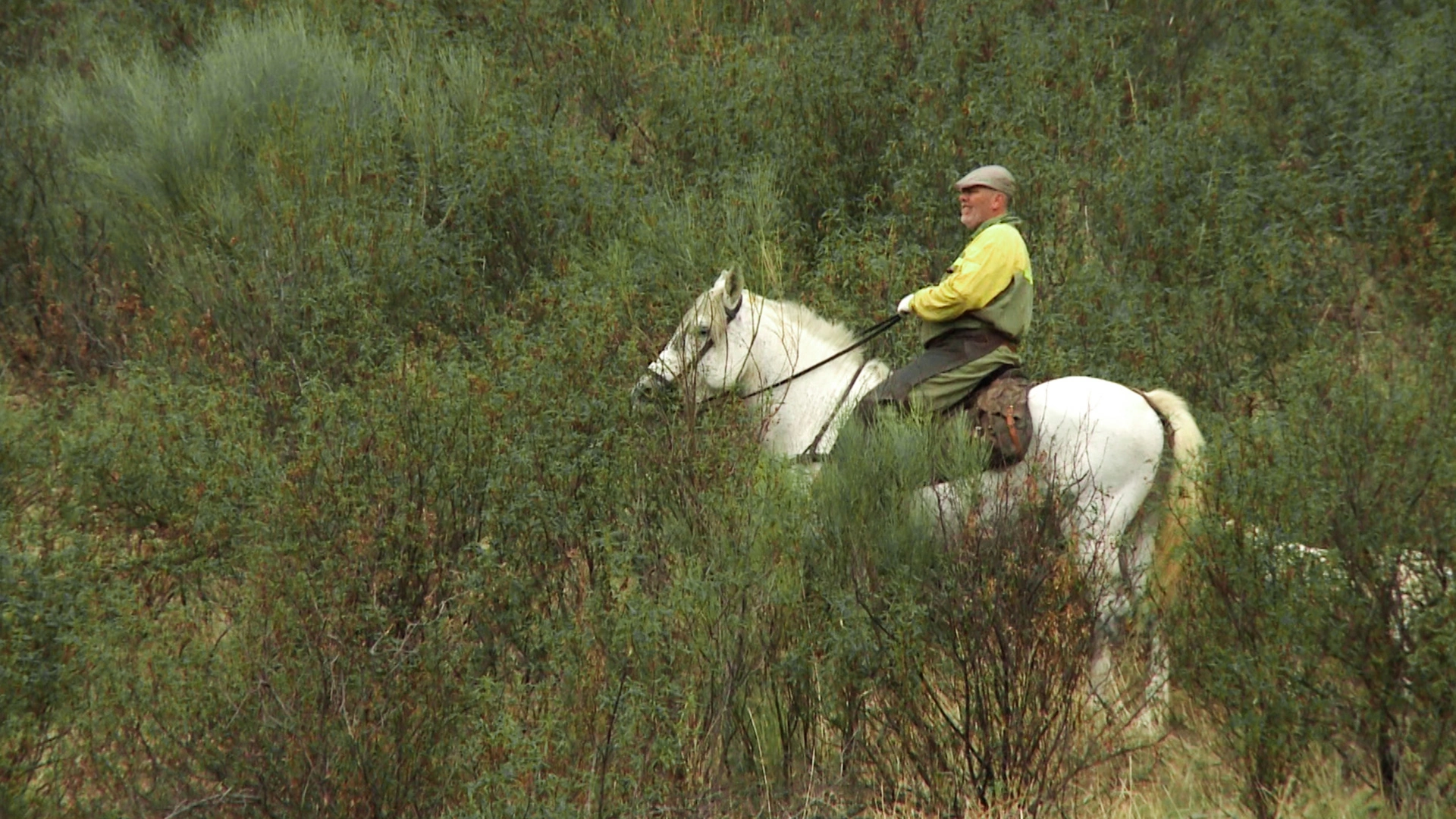 Les Monterias du prince