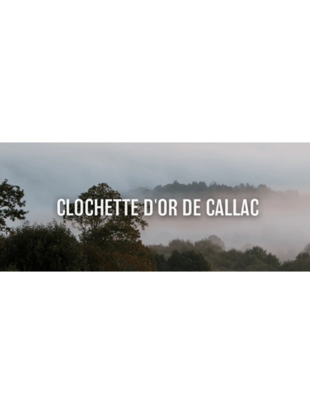 Clochette d'or de Callac