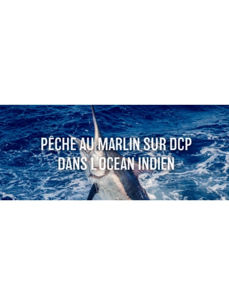 Pêche au marlin sur DCP dans l'Océan Indien