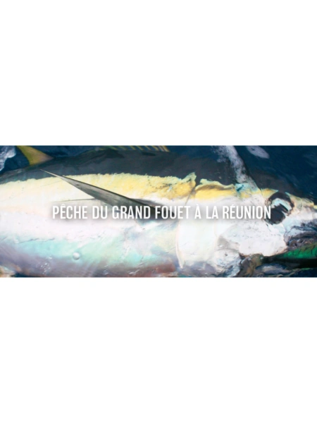 Pêche du grand fouet à la Réunion