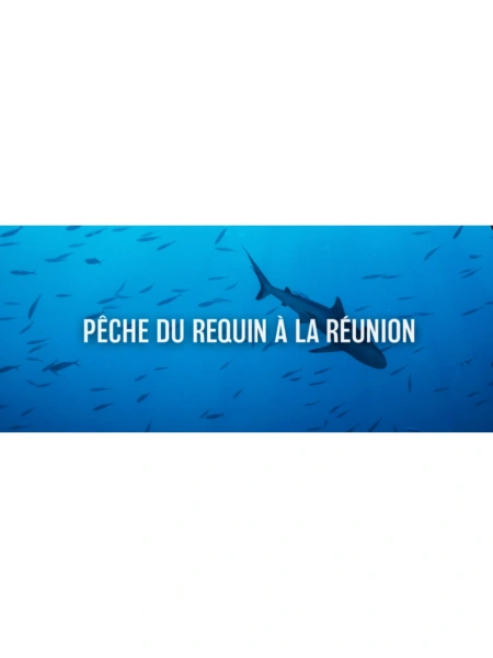 Pêche du requin à la réunion