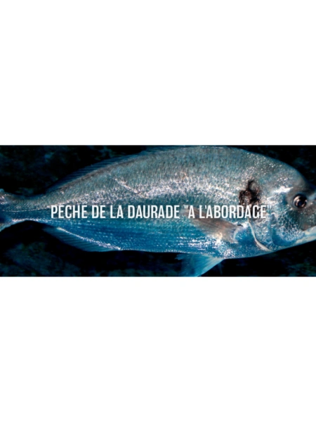 Pêche de la daurade " A l'Abordage"
