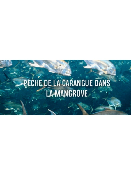 Pêche de la carangue dans la Mangrove