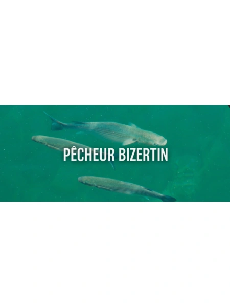 Pêcheur Bizertin