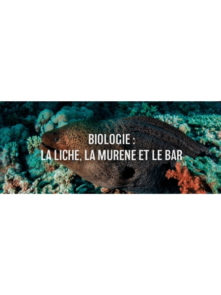 Biologie : La liche, la murène et le bar