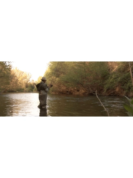 La Truite dans la Vallée de l’Orb