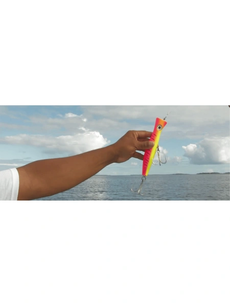 Popper dans le Pacifique