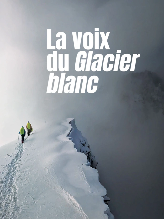 La voix du glacier blanc