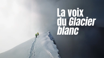 La voix du glacier blanc