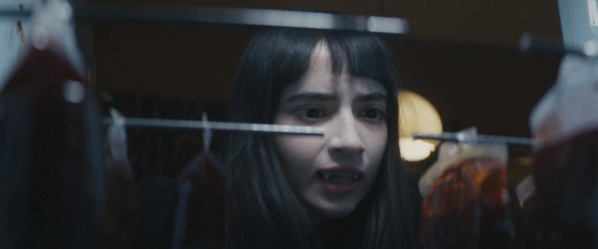 Vampire Humaniste cherche Suicidaire Consentant