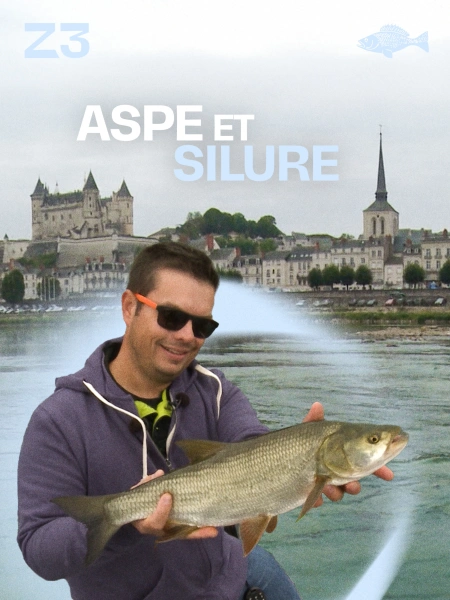 Aspe et silure les nouveaux carnassiers