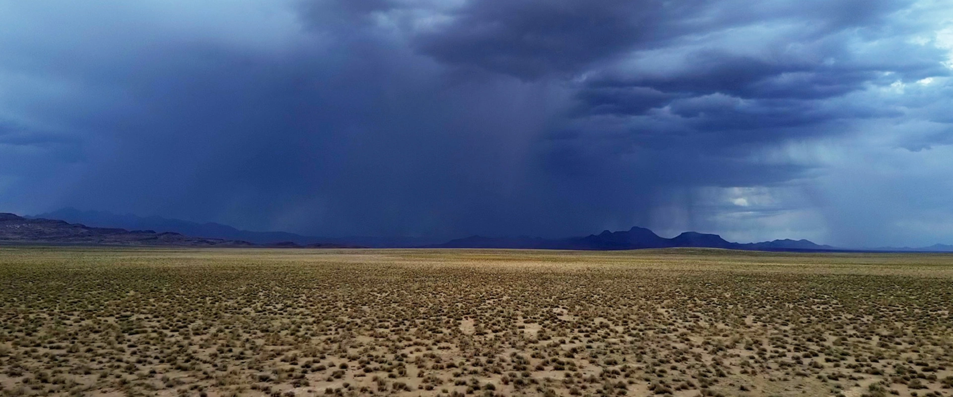 Horror in the High Desert 4: Majesty