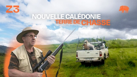Nouvelle calédonie, terre de chasse