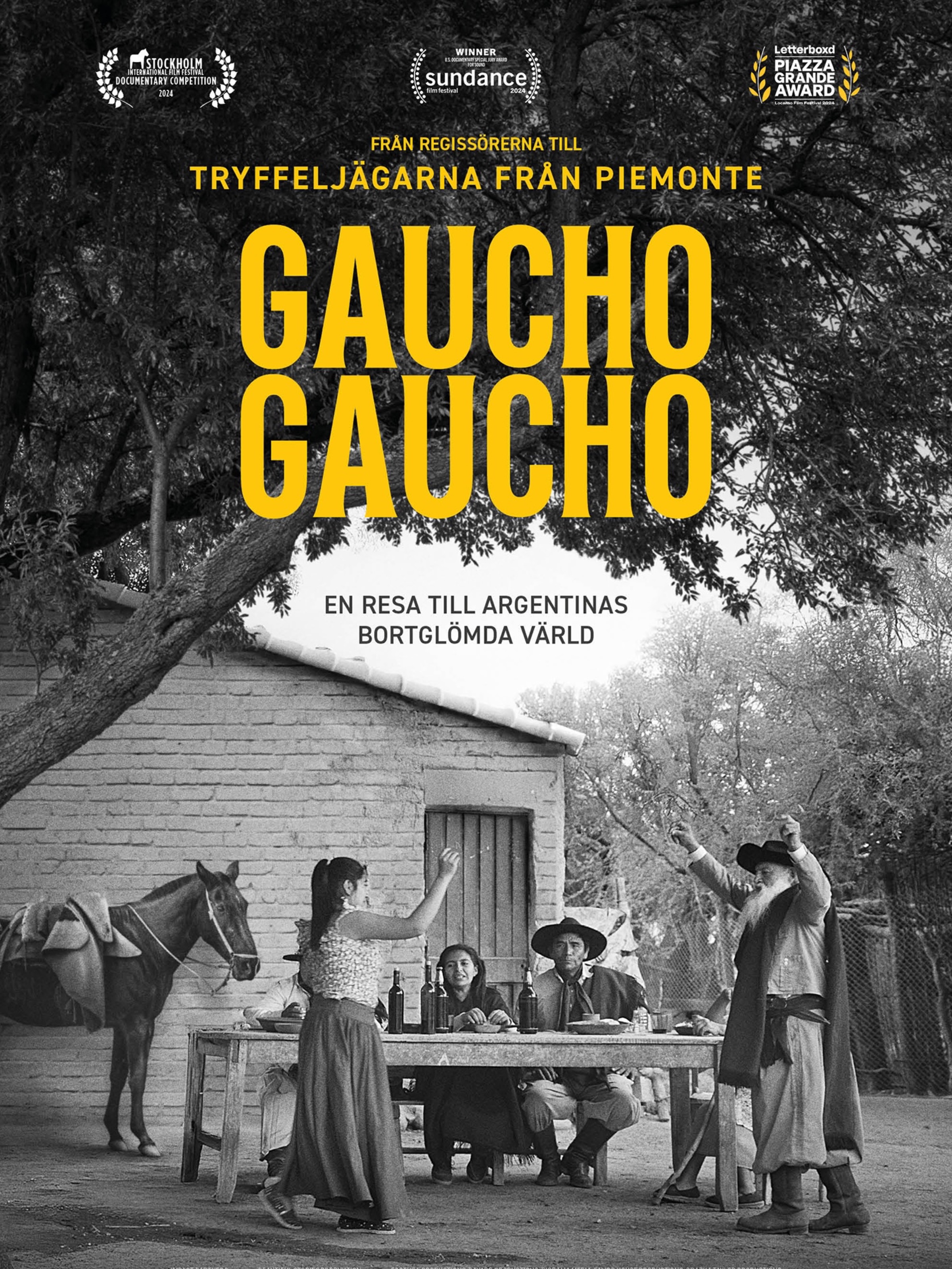 Gaucho Gaucho