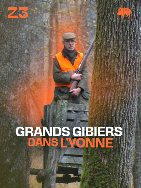 Grands gibiers dans l'Yonne