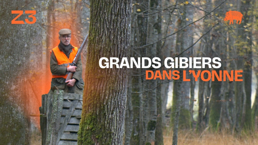 Grands gibiers dans l'Yonne