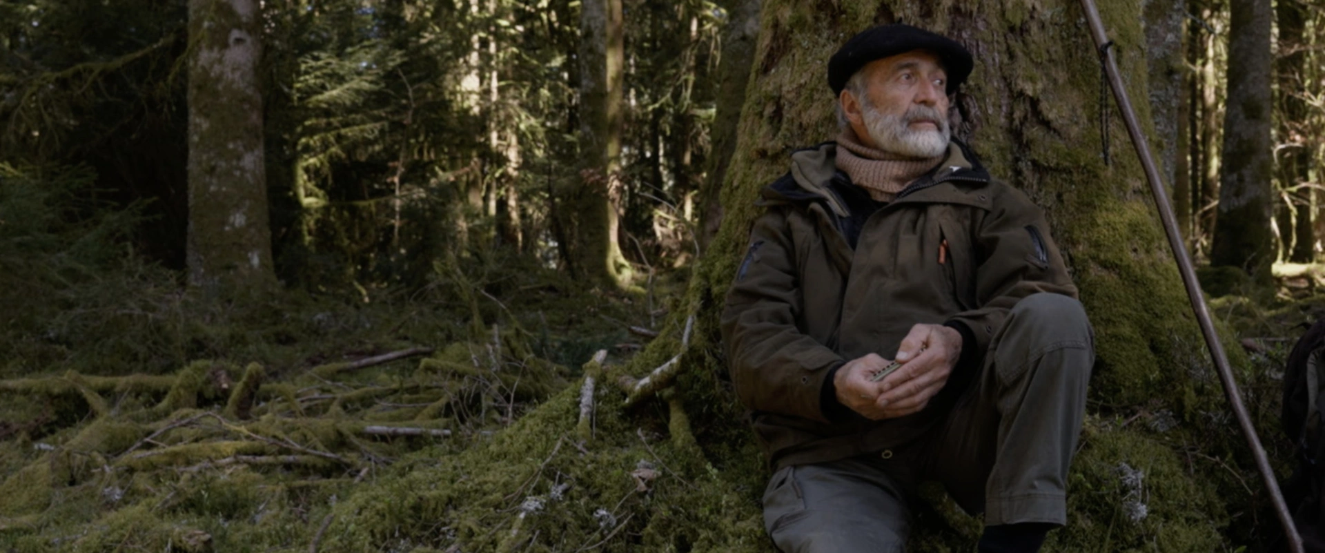 En un battement d'ailes