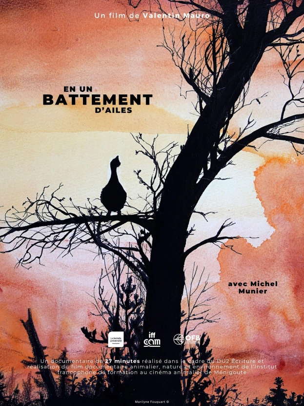 En un battement d'ailes